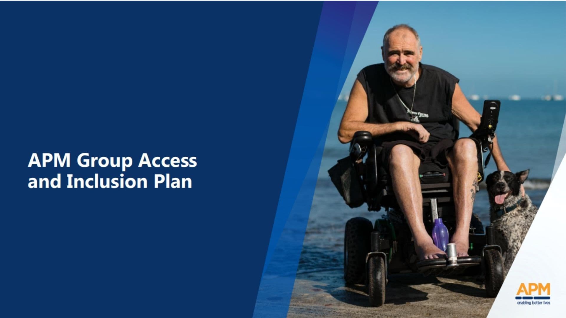APM Access and Inclusion Plan cover