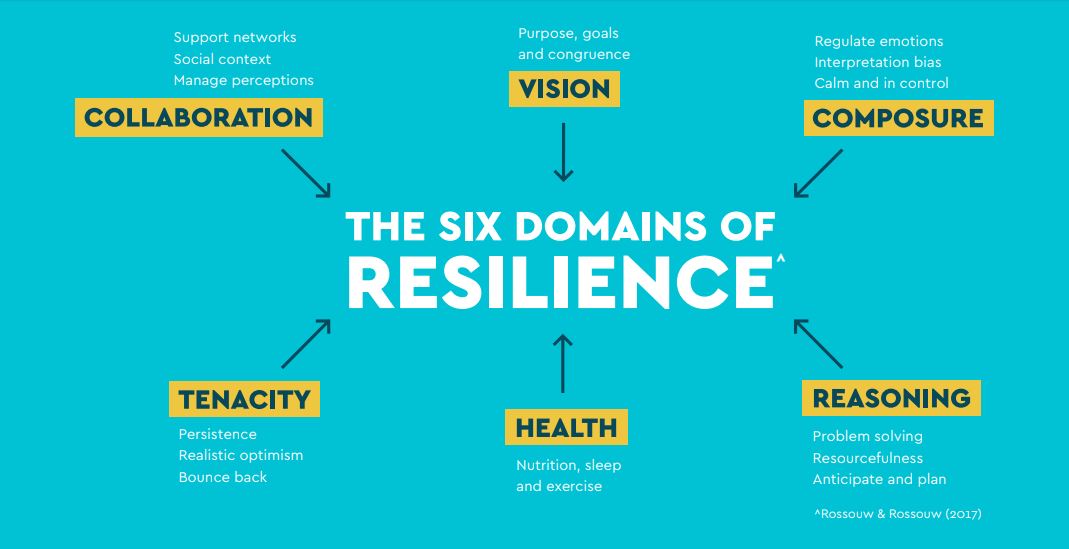 The six domains of resilience - collaboration, vision, composure, tenacity, health and reasoning