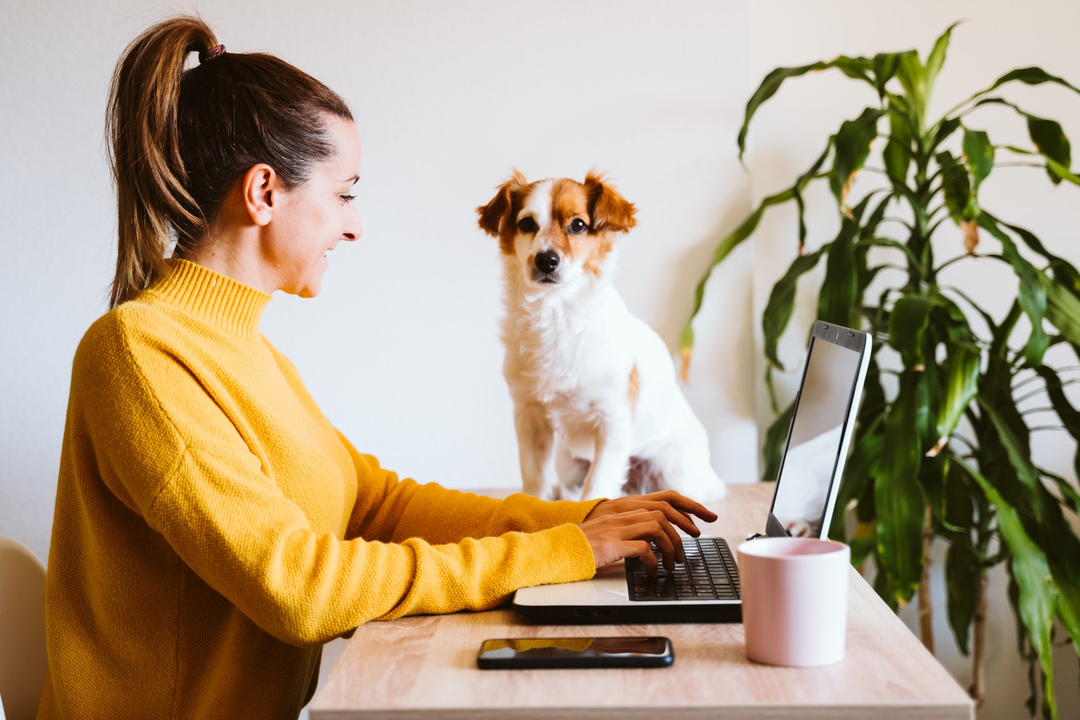 Woman smiling at her desk with a dog sat next to her laptop