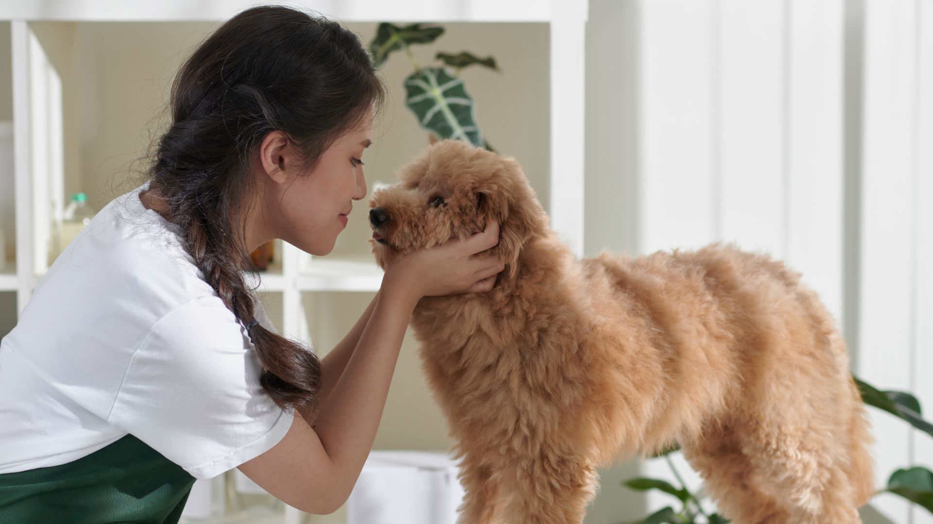A young woman ruffles a brown dog at a grooming salon