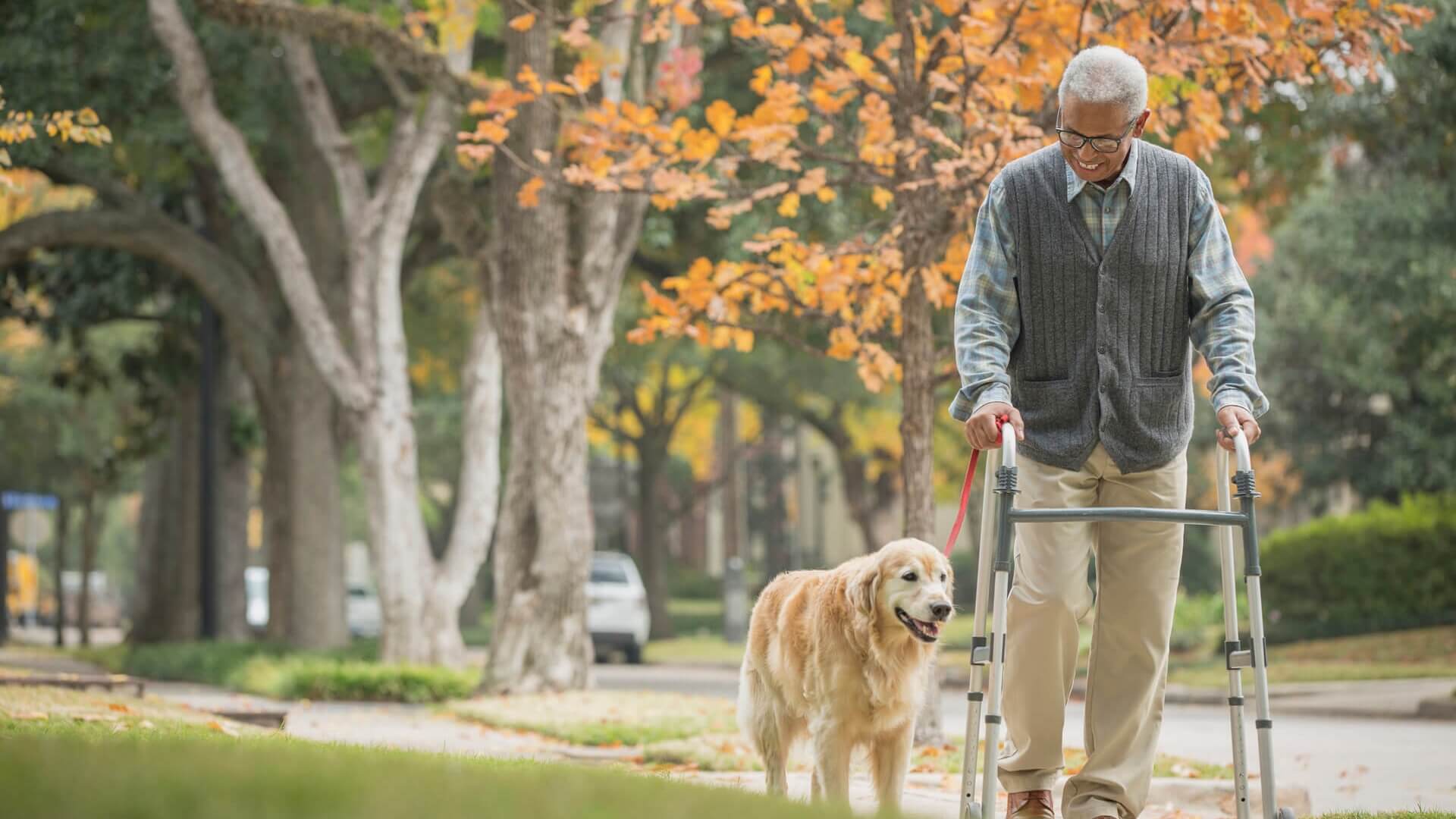 A man using a walking frame taking his dog for a walk