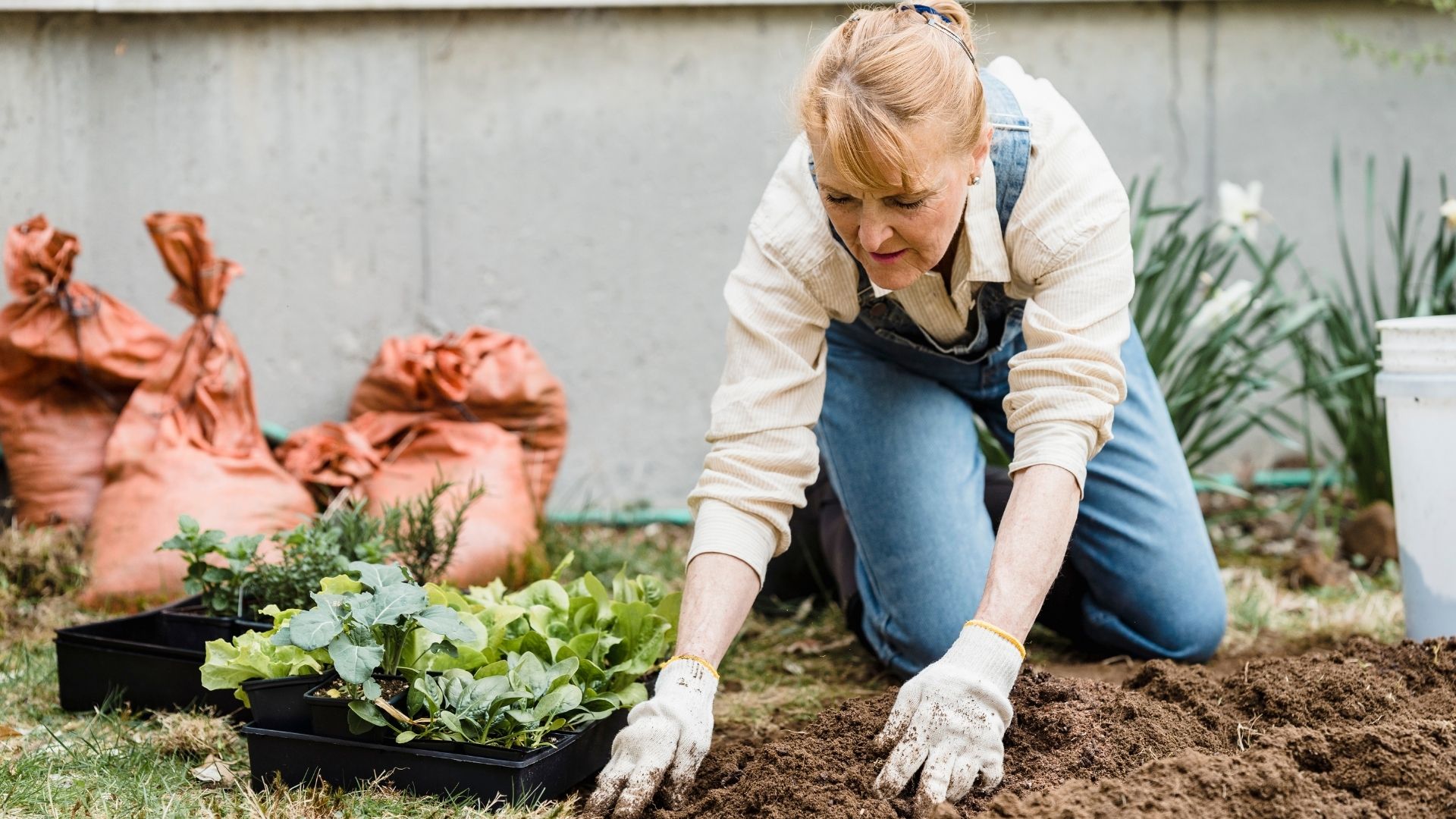 Jobs for stroke survivors include those with a steady pace and manageable physical requirements like gardening