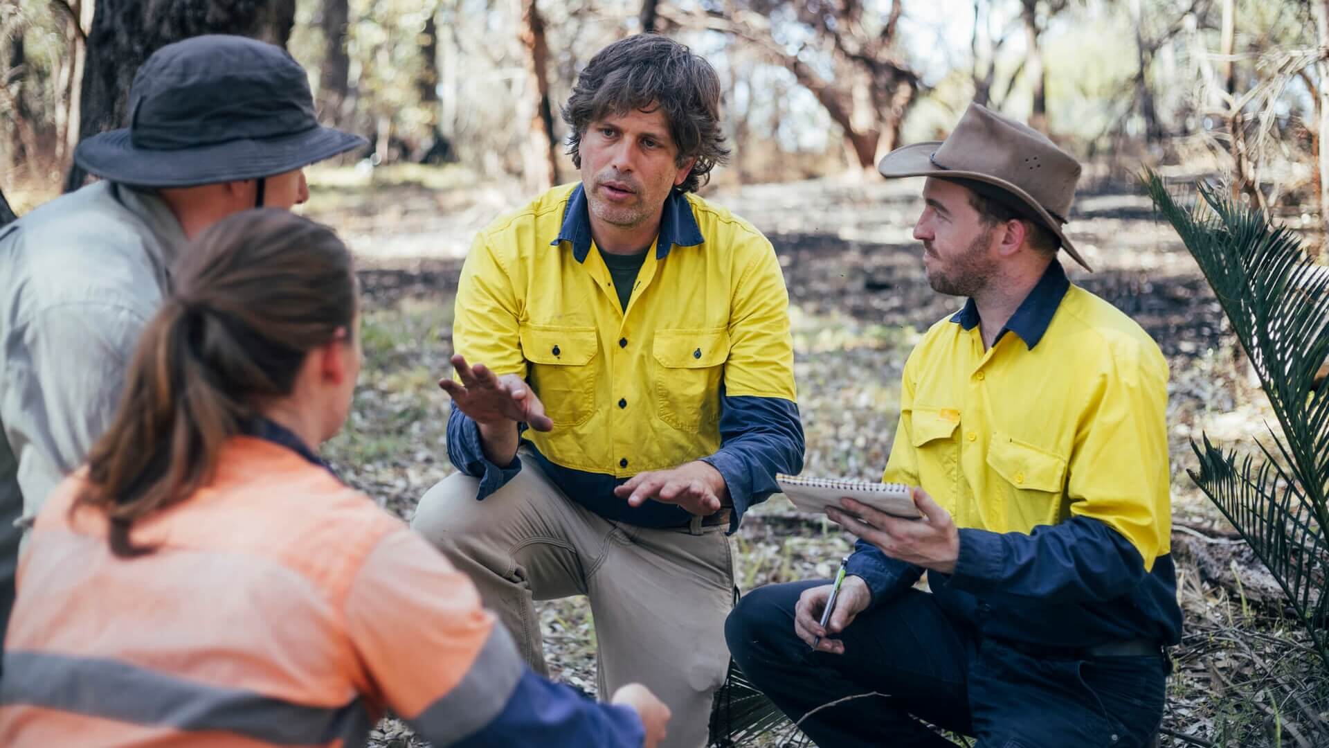 Four rangers having a discussion in the bush