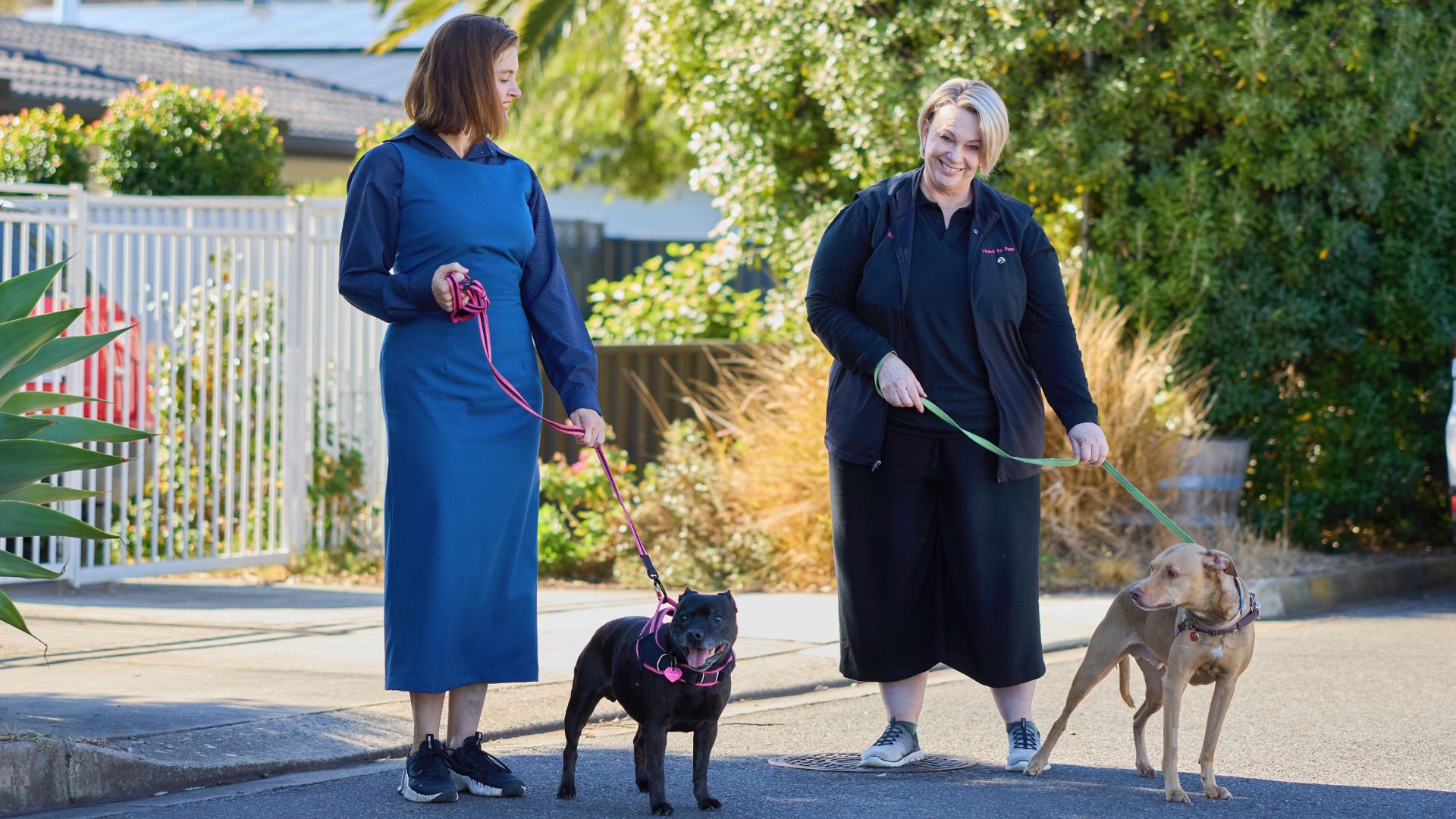 Rebecca and Vicki walk dogs across a street