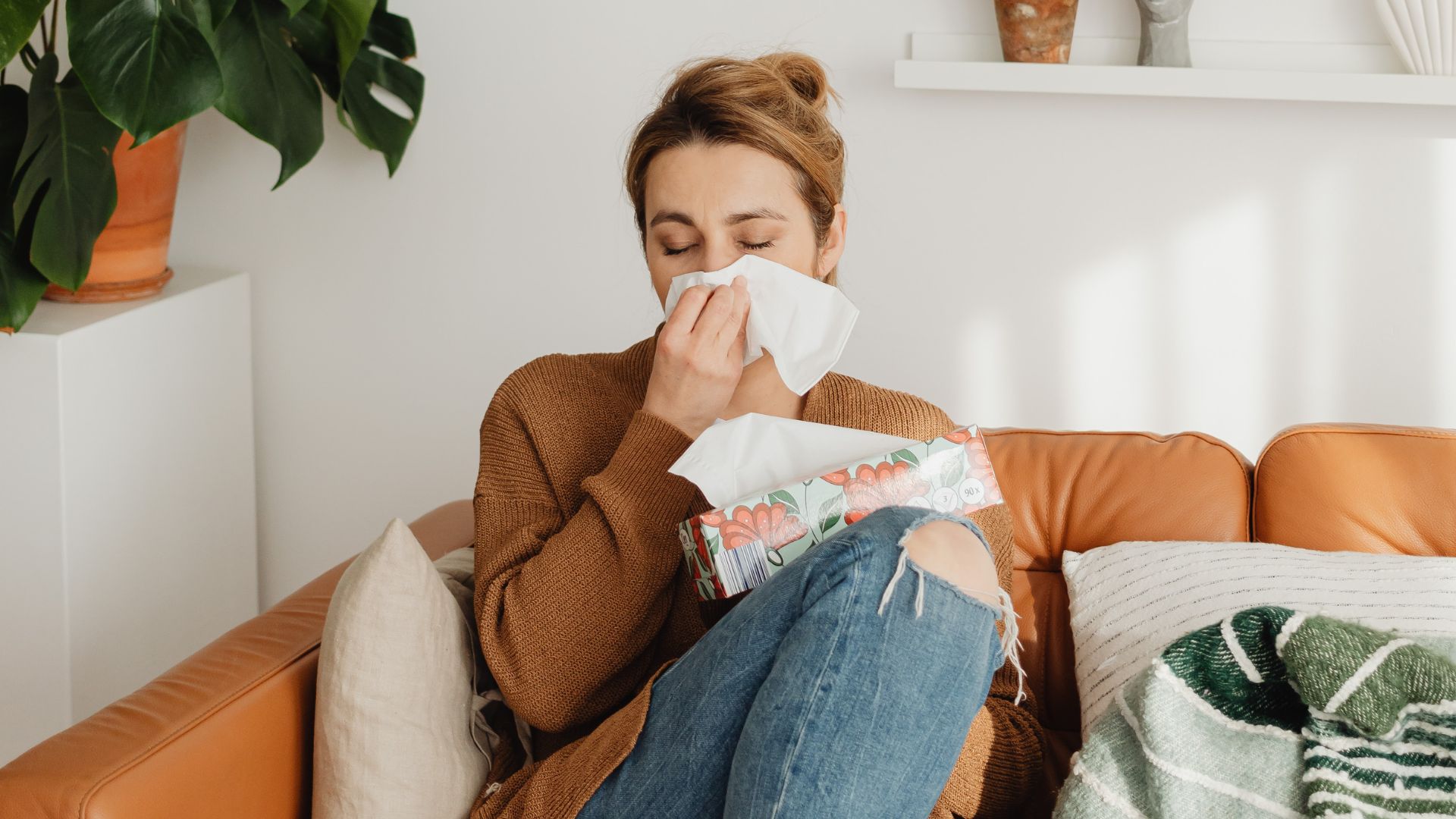 Inclusive Employment Australia promoting safe work environments for employees with immunodeficiency and health needs.