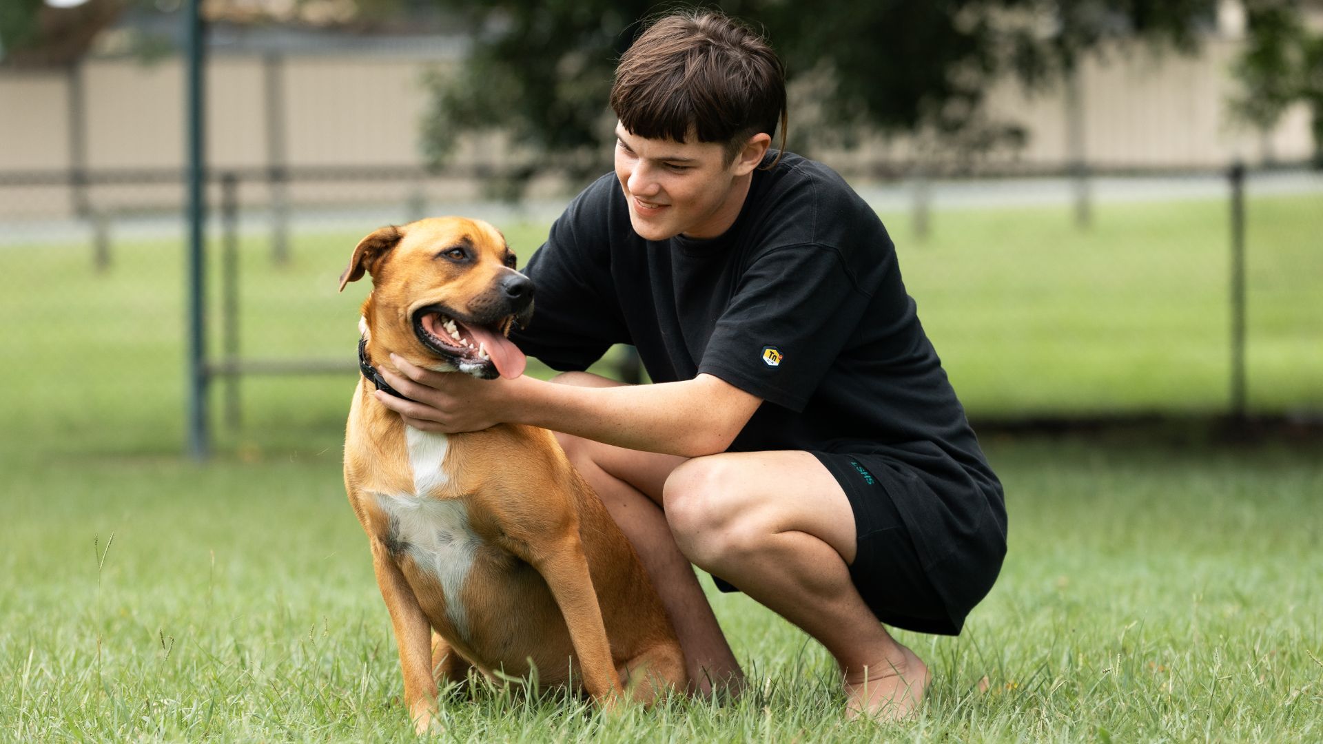 William is kneeling on the grass in a park, petting and playing with a brown dog that has white markings on its chest.