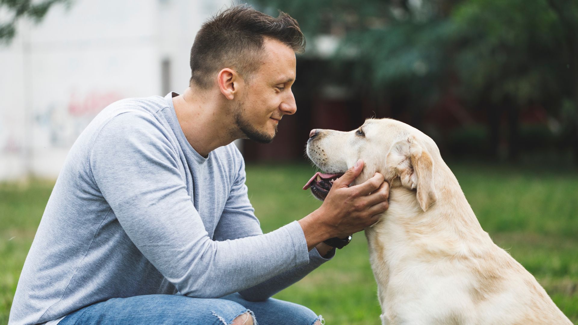 Person interacting with a dog outdoors, highlighting the benefits of pet therapy for those living with schizophrenia.
