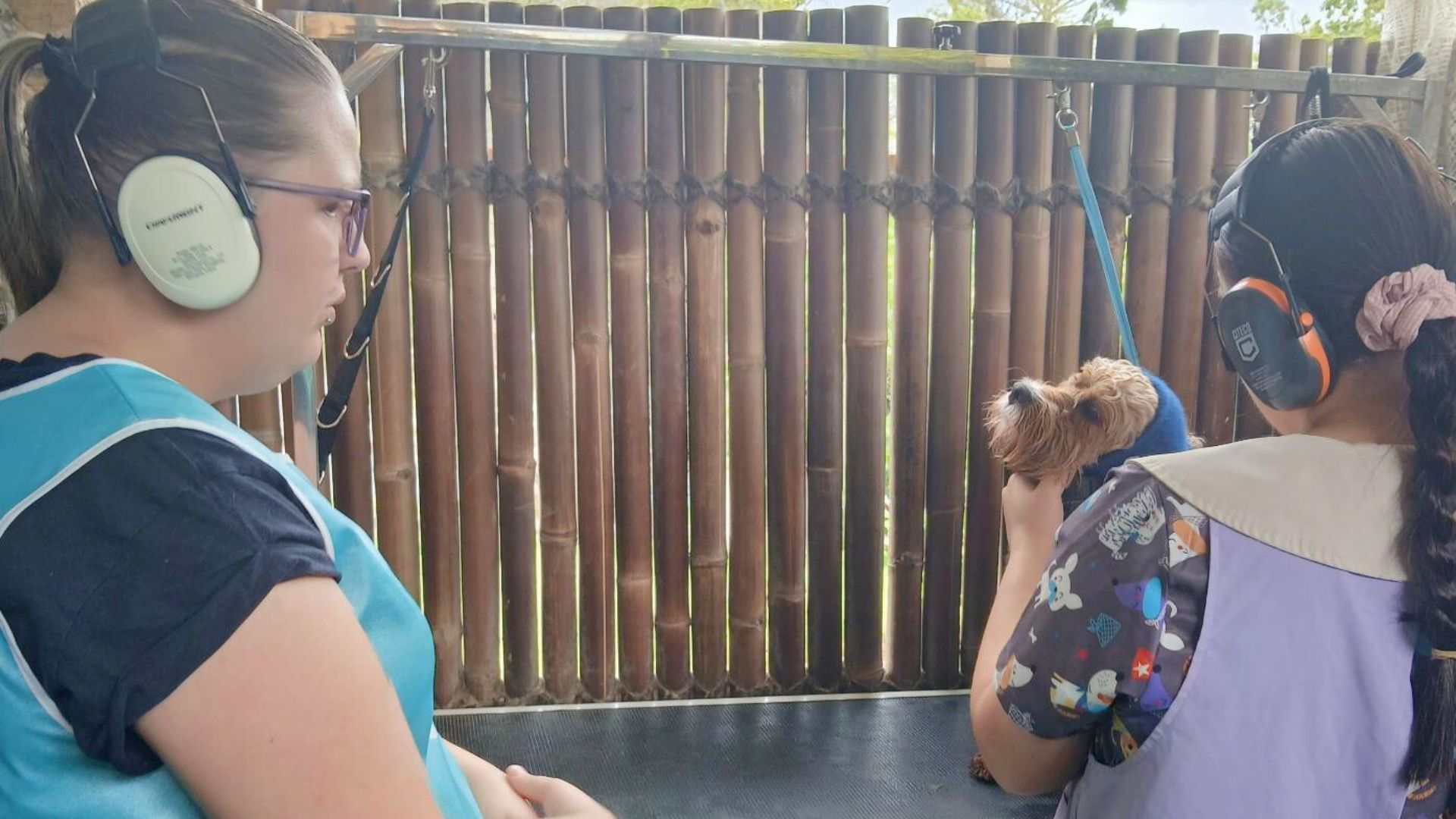 Mel received support by APM through Inclusive Employment Australia